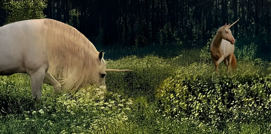 Cees Heijdel | Mystic Luna Dreamscapes-