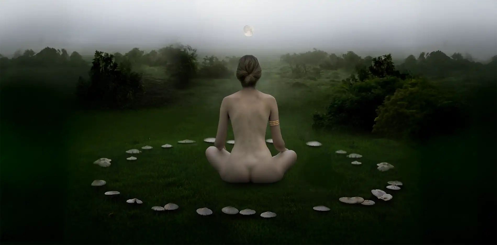 Cees Heijdel | Mystic Luna Dreamscapes-Array