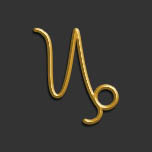 het sterrenbeeld steenbok