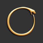 het symbool ouroboros